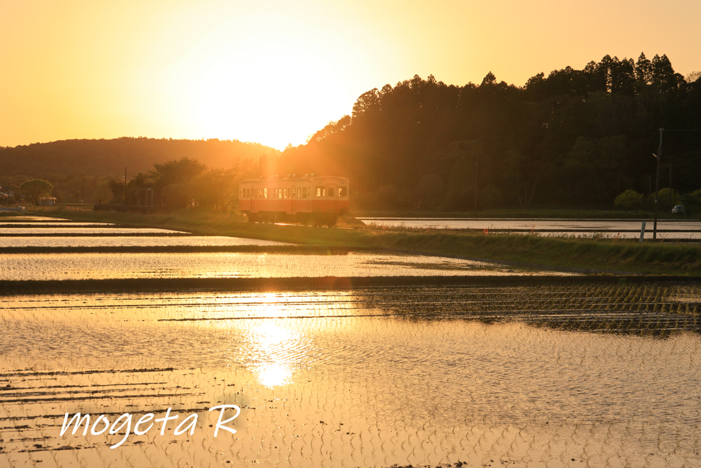 夕陽に向かって