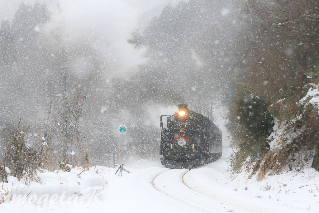 ホワイトクリスマス号