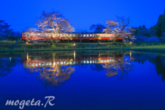 飯給の夜空