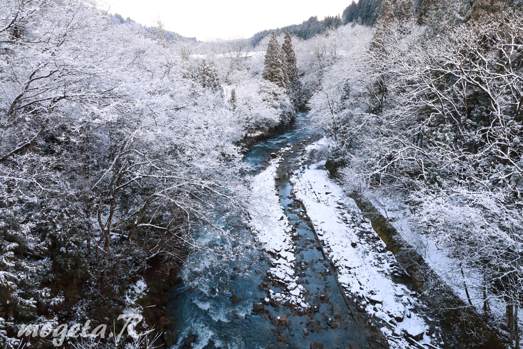 蒼い川