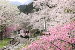 湯野上トンネル