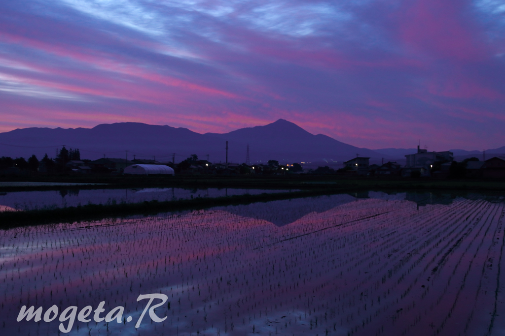 宝の朝