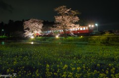 飯給　春の夜