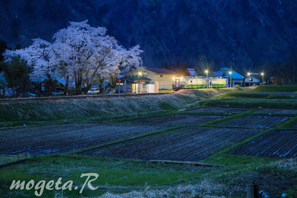 長閑な駅