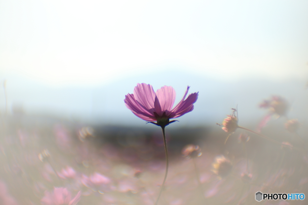あと一歩♫