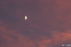 夕焼雲と半月
