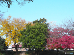 赤・青（緑）・黄