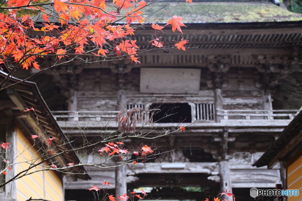 古寺の秋