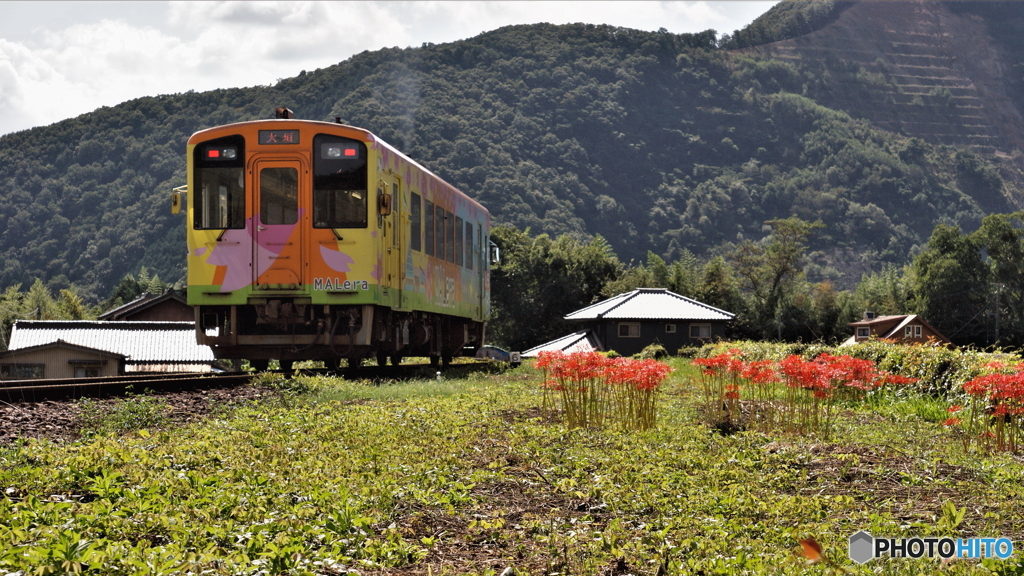 去り行くラッピング車両