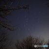 春の星廻り