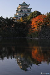 今朝の名古屋城