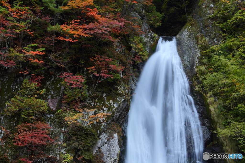 紅葉と滝