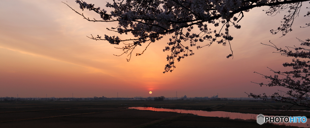 春の朝