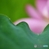 droplet