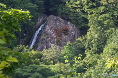 夏緑の大倉滝