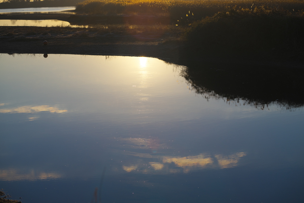 朝の光