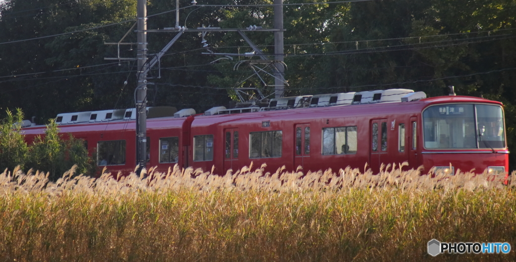 秋電車