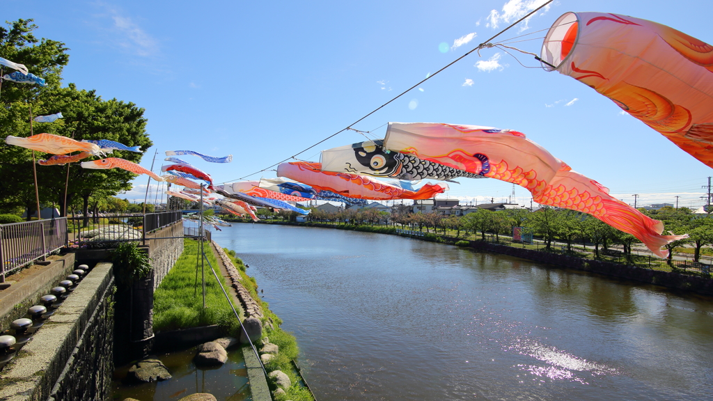5月を前撮り