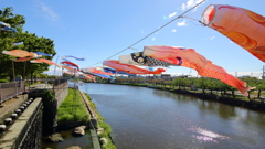 5月を前撮り