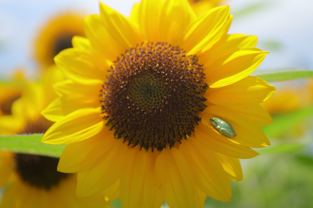 ここが好き、でも・・・