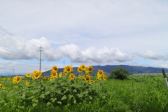 ND1000フィルターの功罪