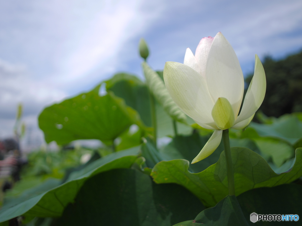 急激な天気回復