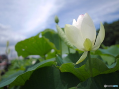 急激な天気回復