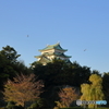 躍動の朝