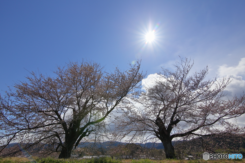 長年の友