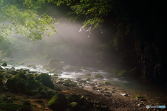 円原川の光芒