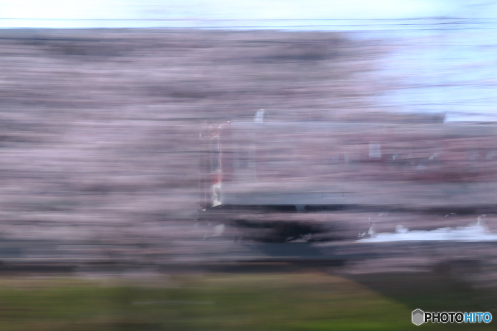 桜号走る
