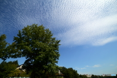 秋の空