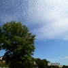 秋の空