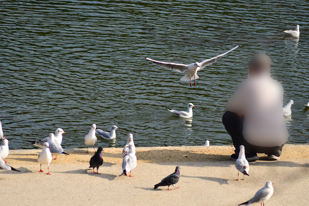 ねぇねぇ呼んだ？