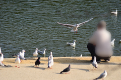 ねぇねぇ呼んだ？