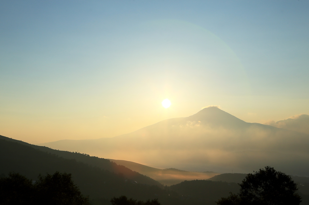 お見舞い申し上げます
