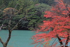 秋映えの揖斐狭