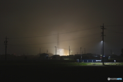 霧の朝