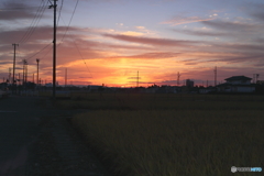 朝焼けスナップ