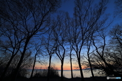 琵琶湖夕景Ⅰ