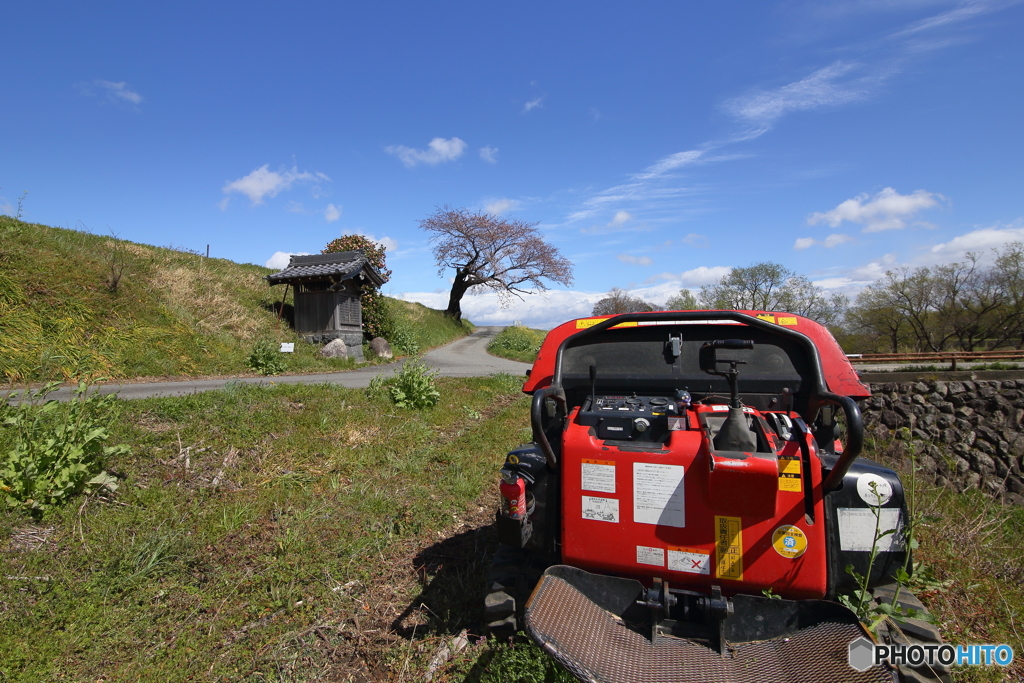 バイキンマンのいる運転席