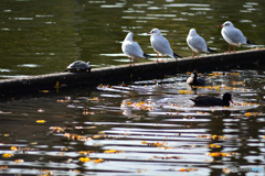 それぞれの過ごし方
