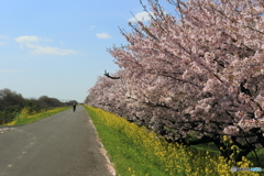 春の良き日、良い時間