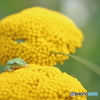 「半分、眠い。」