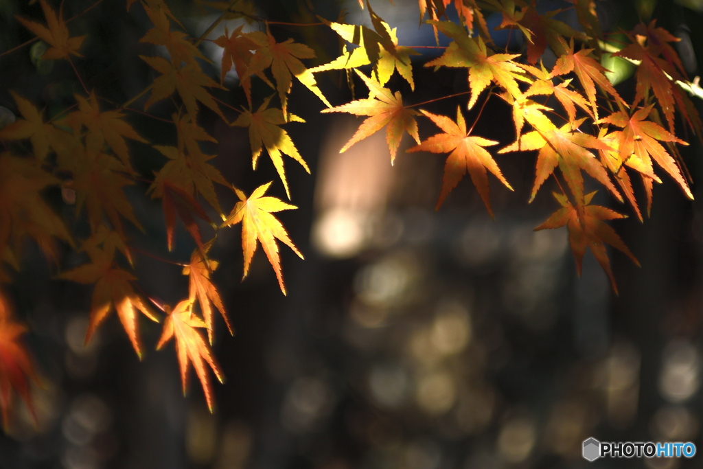 光あたるところ