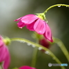 雨の日は重いね・・