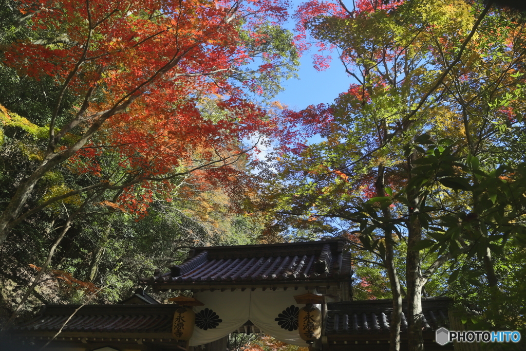 永源寺門前