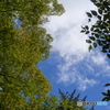 空も秋仕様