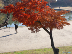 晩秋の天王川公園