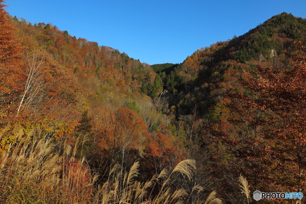 秋の大倉滝